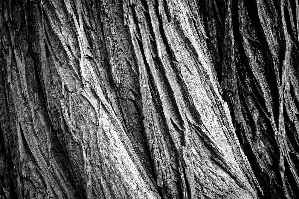 Black And White Photography Tips Techniques The School Of Photography black-and-white-photography-tips-techniques-the-school-of-photography