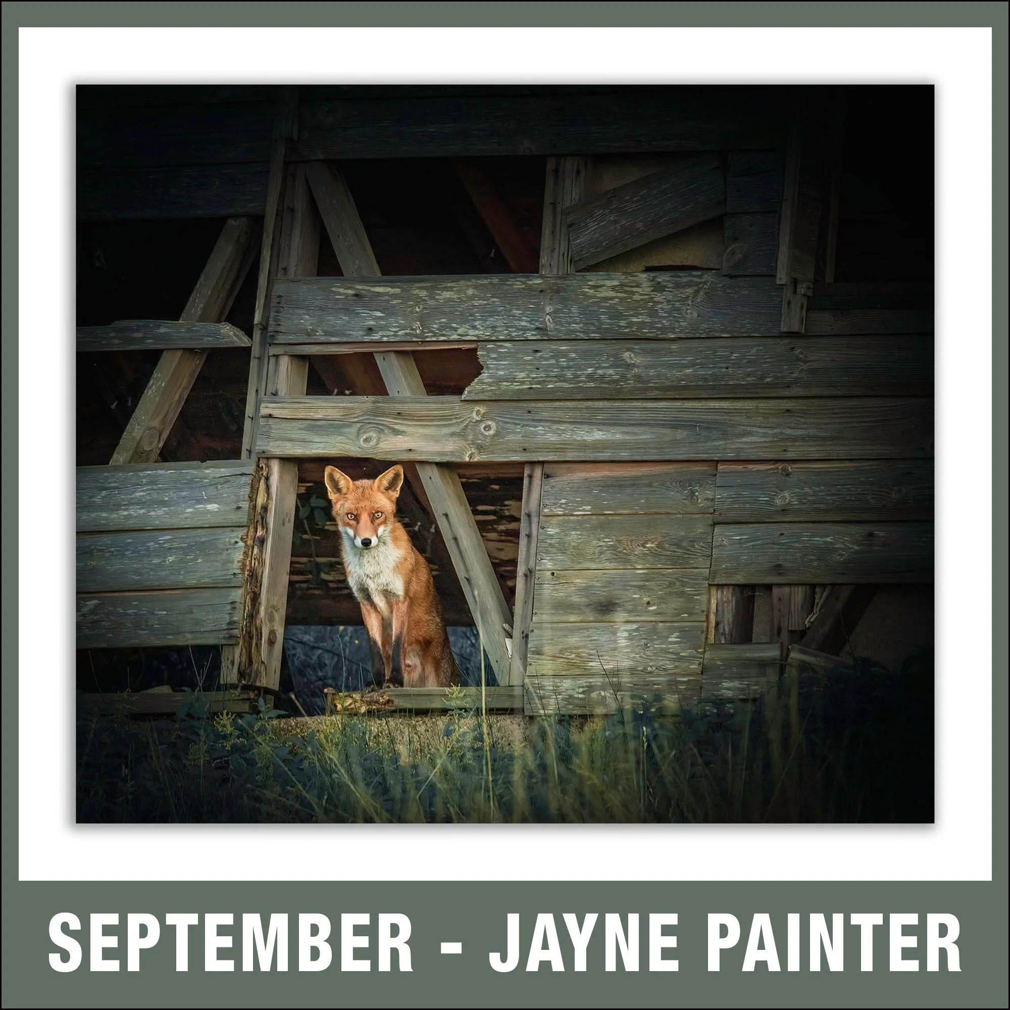 September – Jayne Painter