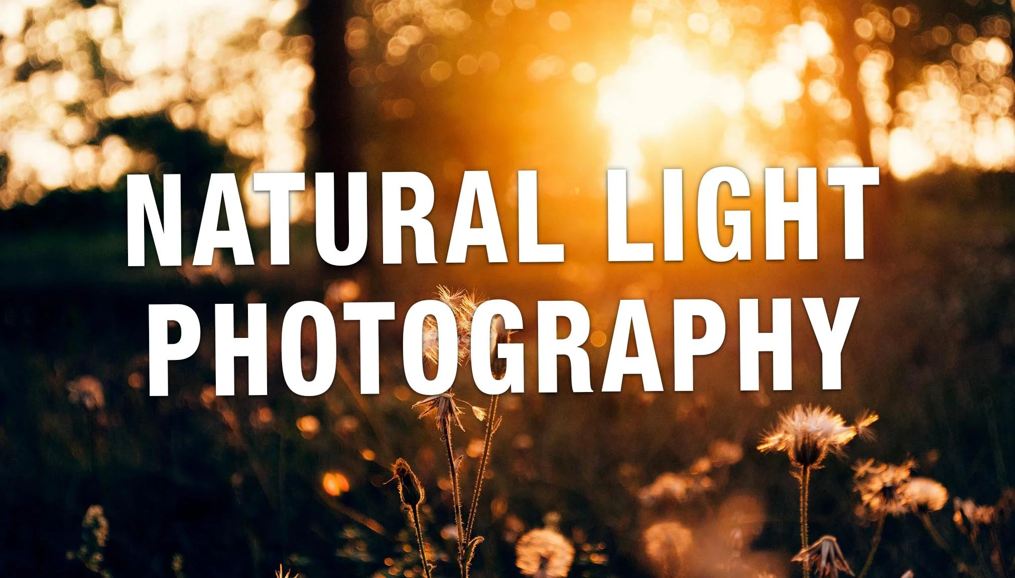 Photography Beginners: Essential Tips & Guide for Better Photos | The ...