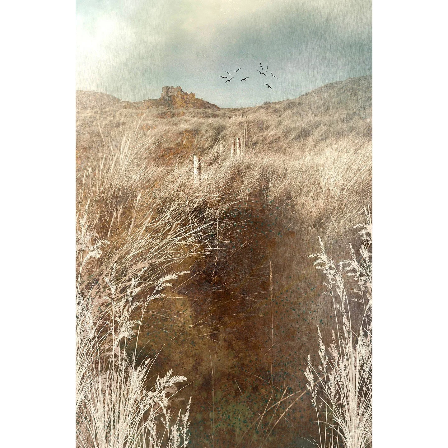 Discover your inner artist 🎨
Swipe for inspiration ➡
Join professional Fine Art Photographer @trudy_kepke_fine_art as she teaches you how to transform your photography into unique pieces of artwork.
Learn her incredibly unique application of