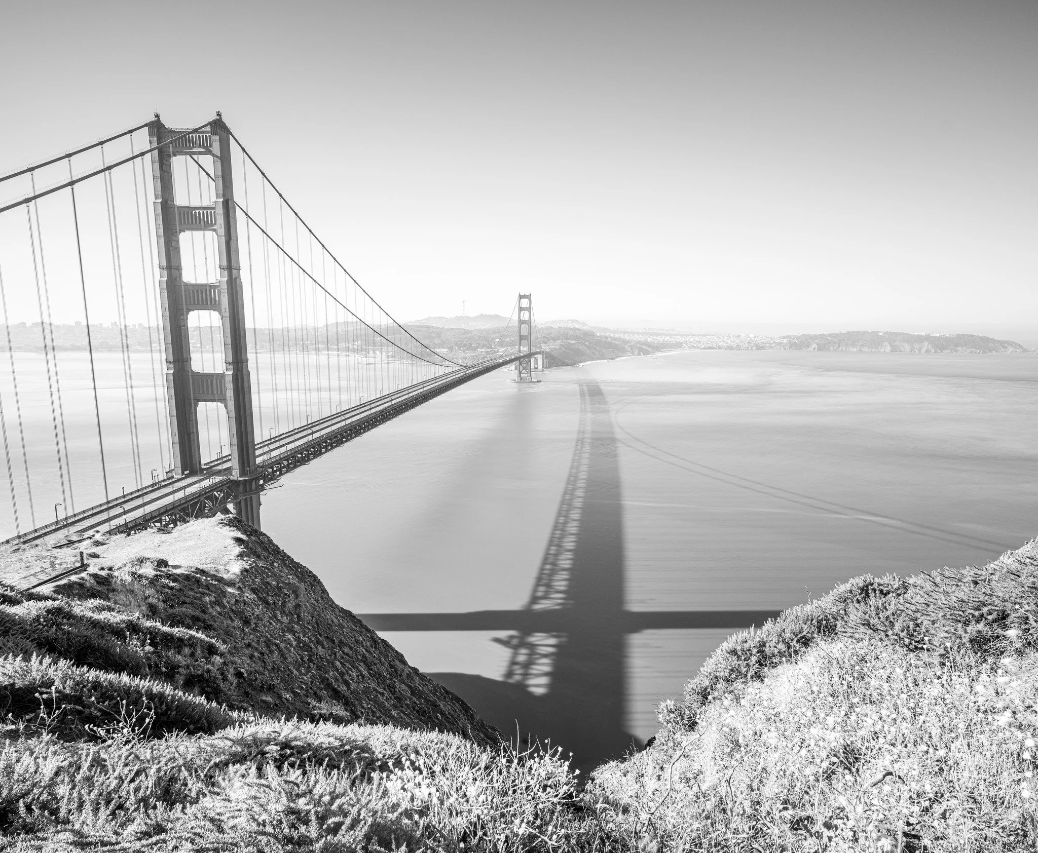 © Reginald Dillard Jr