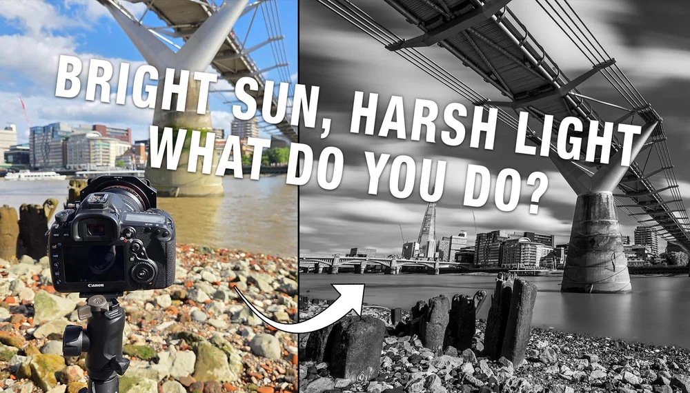 Guide to Using Lens Hoods for Better Images: Essential Tips