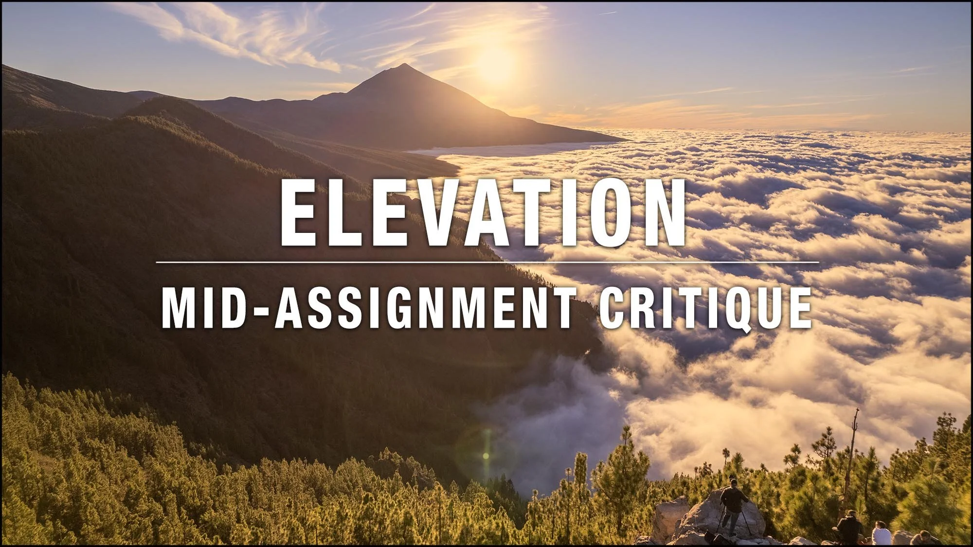 Elevation - Mid Assignment Critique-2025