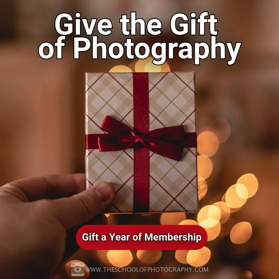 Give the gift of learning photography this Christmas 🎄📸⁠
⁠
A full year of expert lessons, inspiration, and support, perfect for beginners and improving photographers.⁠
⁠
⁠Give them the best start with our All-Courses Pass 🎁⁠➡️ https://www.theschoo