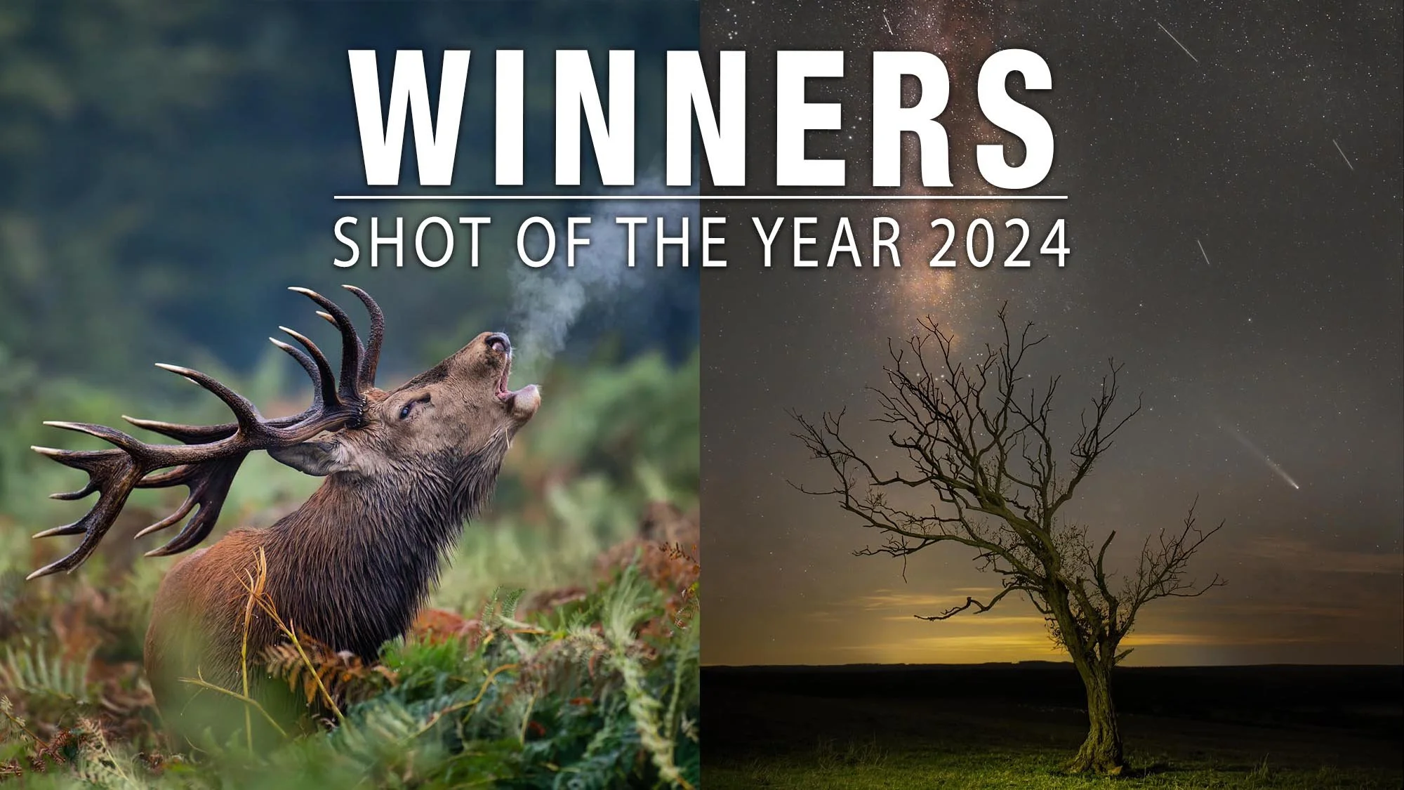 Shot of the Year 2024 Winners