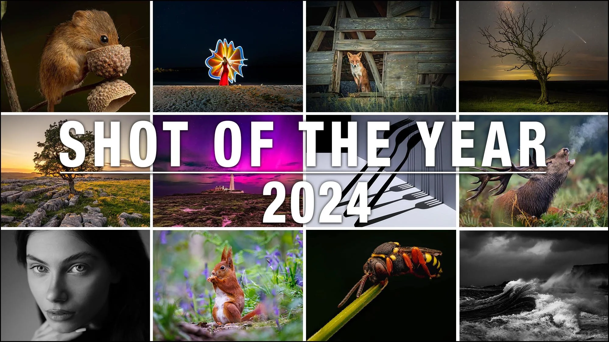 Shot of the Year 2024