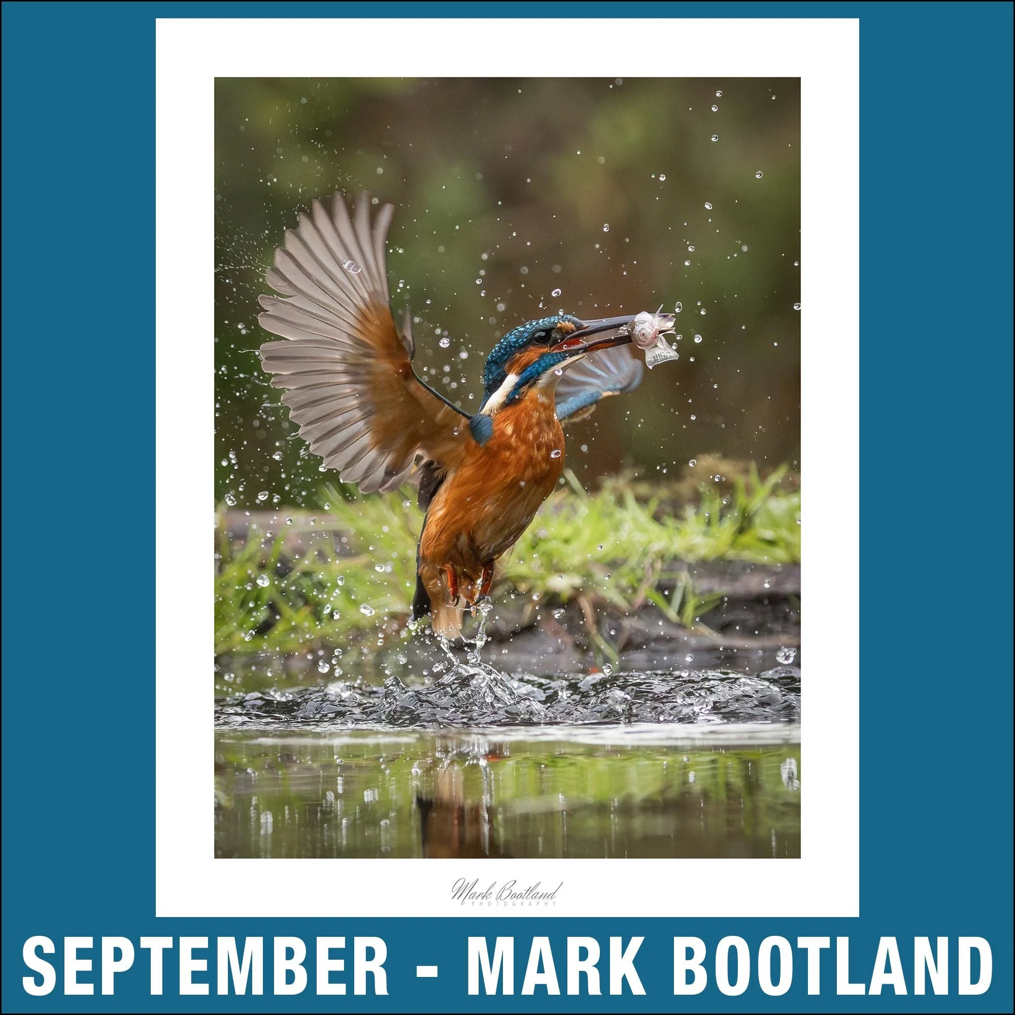 9 - September - Mark Bootland 1x1.jpg