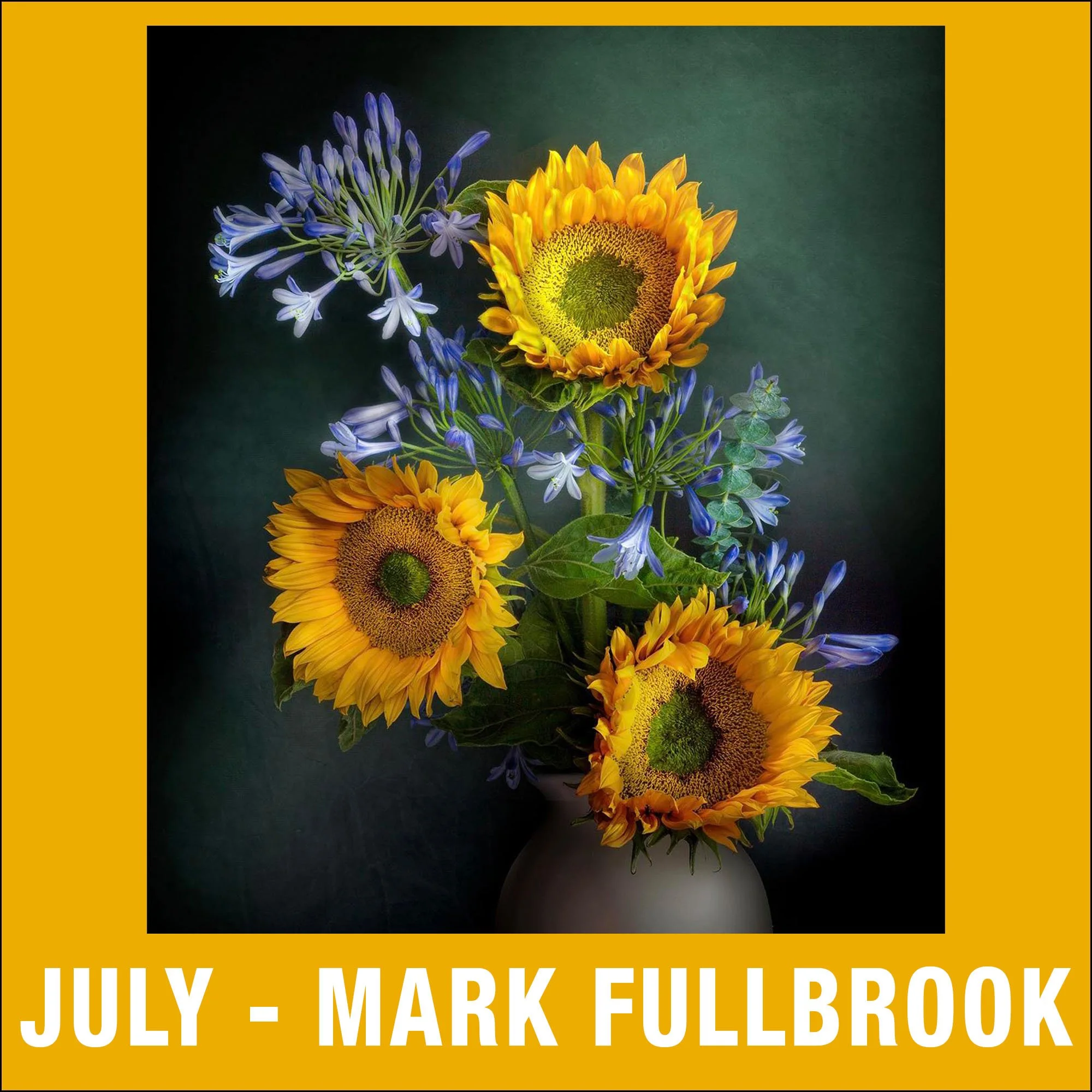 7 - July - Mark Fullbrook 1x1.jpg