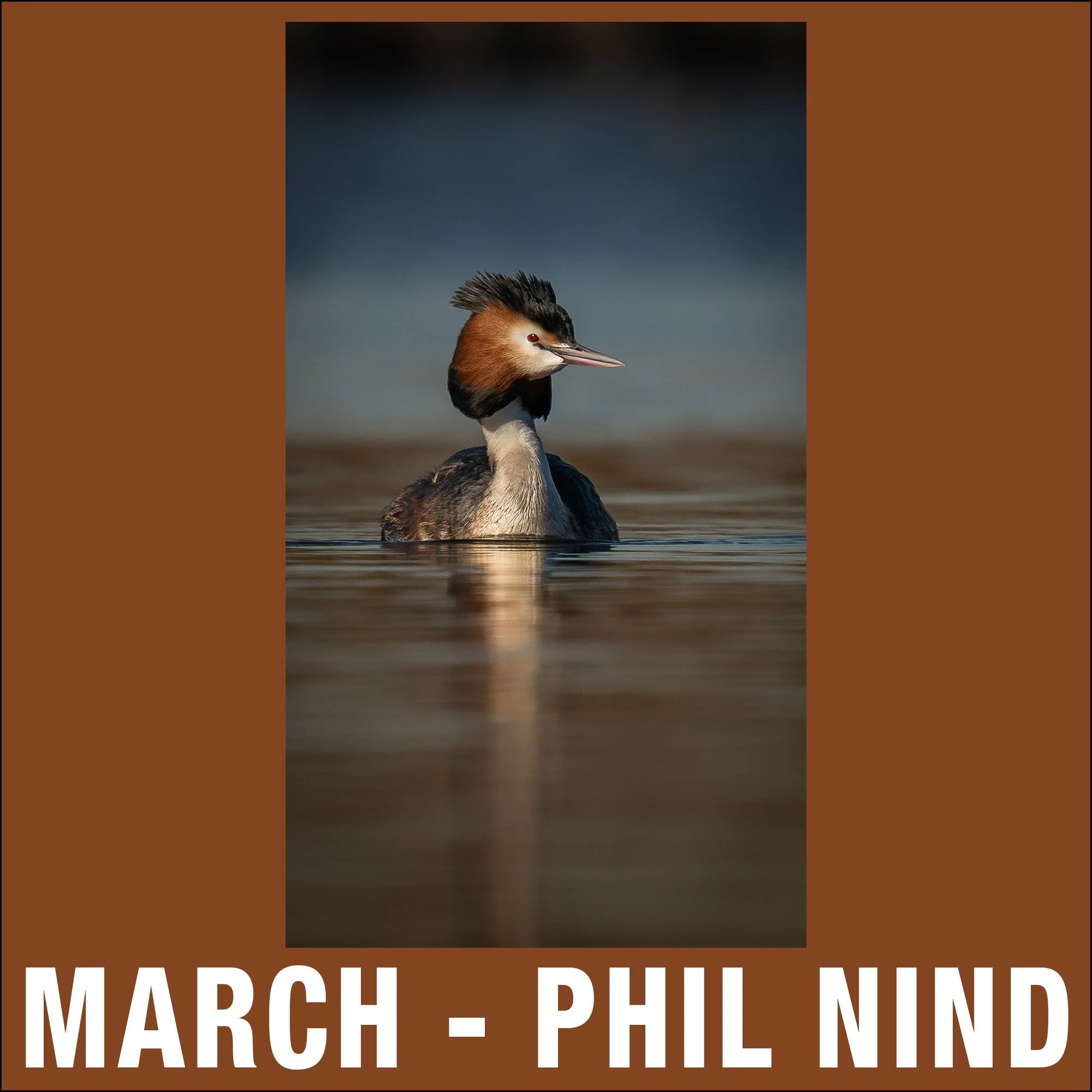3 - March - Phil Nind 1x1.jpg