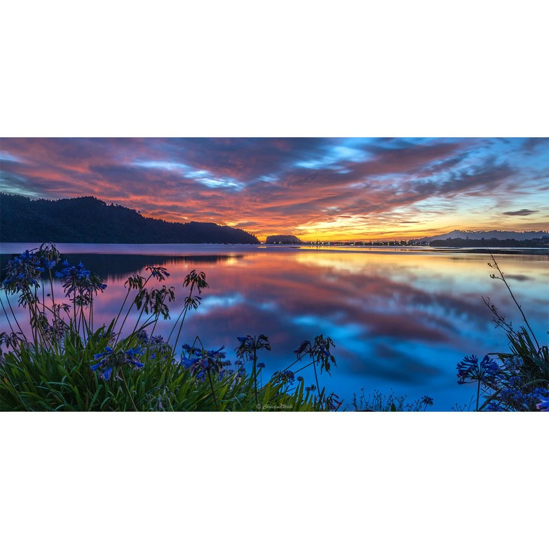 Golden hour magic, framed by nature's art ☀⁠
⁠
Stunning image by member Christine Webb @christine2752 📸👏⁠
⁠
f/11 - 25 sec - ISO 100 - 25mm⁠
Canon EOS R5M2, Lens RF 24-105mm⁠
⁠
Christine writes, "This morning 17/01/2026 5.34am (NZ time) from ou