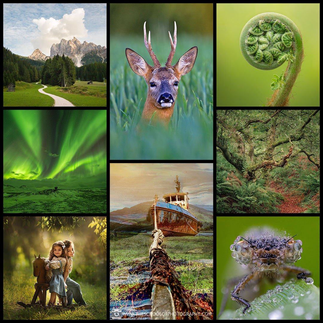 From landscapes and wildlife to portraits, macro and more 📸⁠
⁠
Don&rsquo;t put it off another year. Join now, explore every photography genre, and save 20% in our January Sale.⁠
⁠
Enjoy a massive 20% off our Yearly Membership for a limited time. Jus