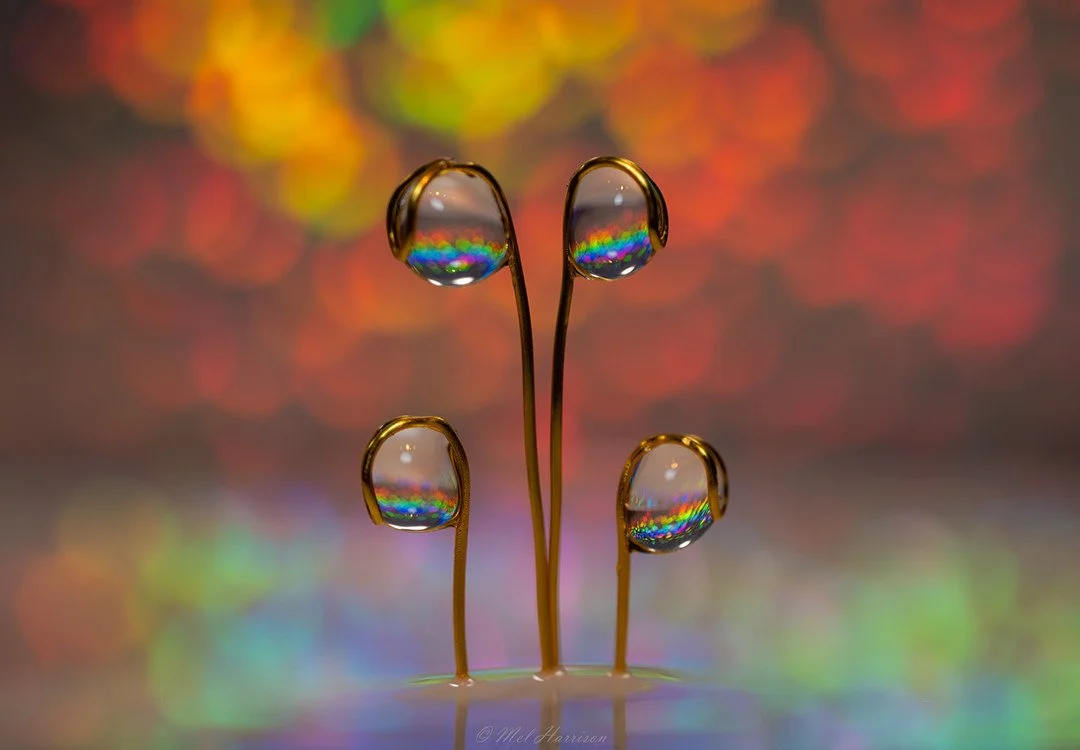 Stunning image by member Mel Harrison @mellyh31 for our January Photography Competition 'Symmetry' 👏📸⁠
⁠
Mel writes, "Another evening of playing around with water droplets and lights. I had really lost my mojo over the last few months, but I'm