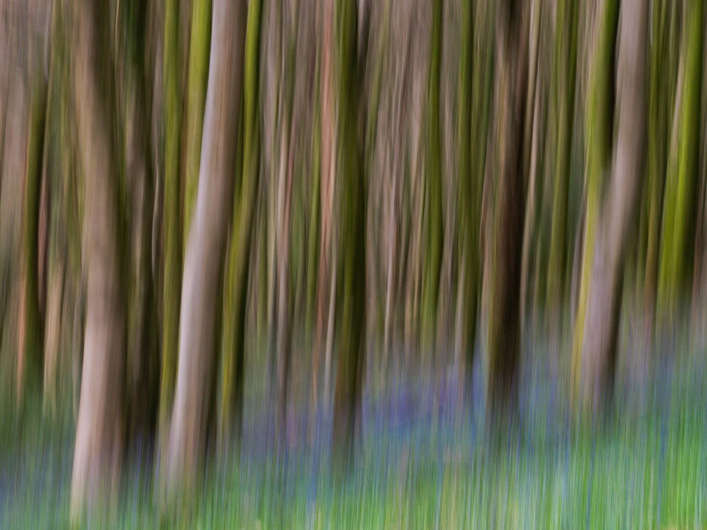 Have you explored ICM in your photography yet? 📸⁠
⁠
Very cool image by member Bob Davies @robertdarke in response to this month's assignment 'Woodland' 👏⁠🌲⁠
⁠
f/20 - 1/10 sec - ISO 250 - Focal length 60mm⁠
OM-1 mark ii⁠
⁠
Bob writes, "I find 