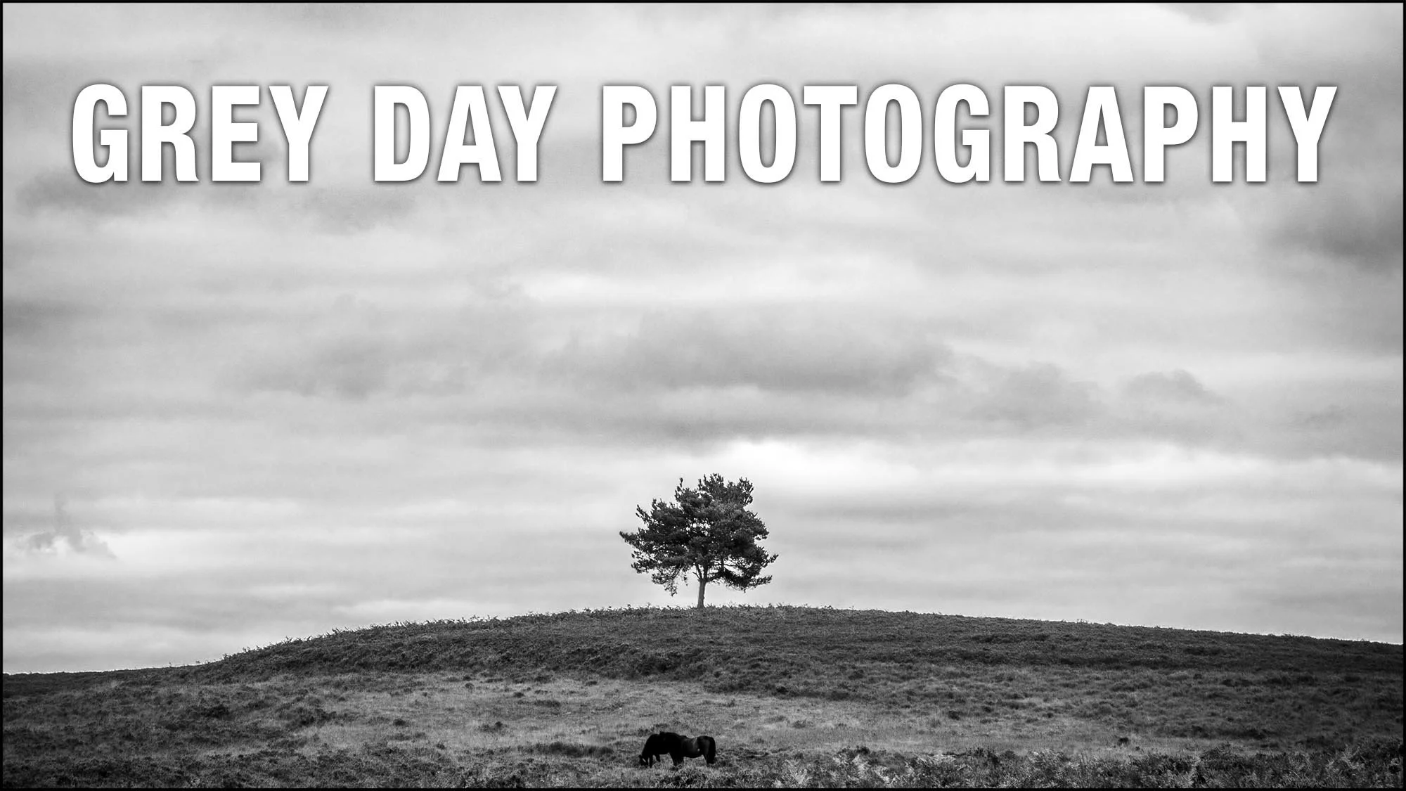 Grey Day Photography