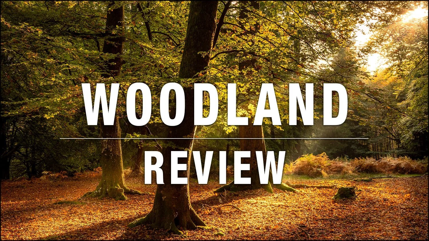 Woodland Review 2026