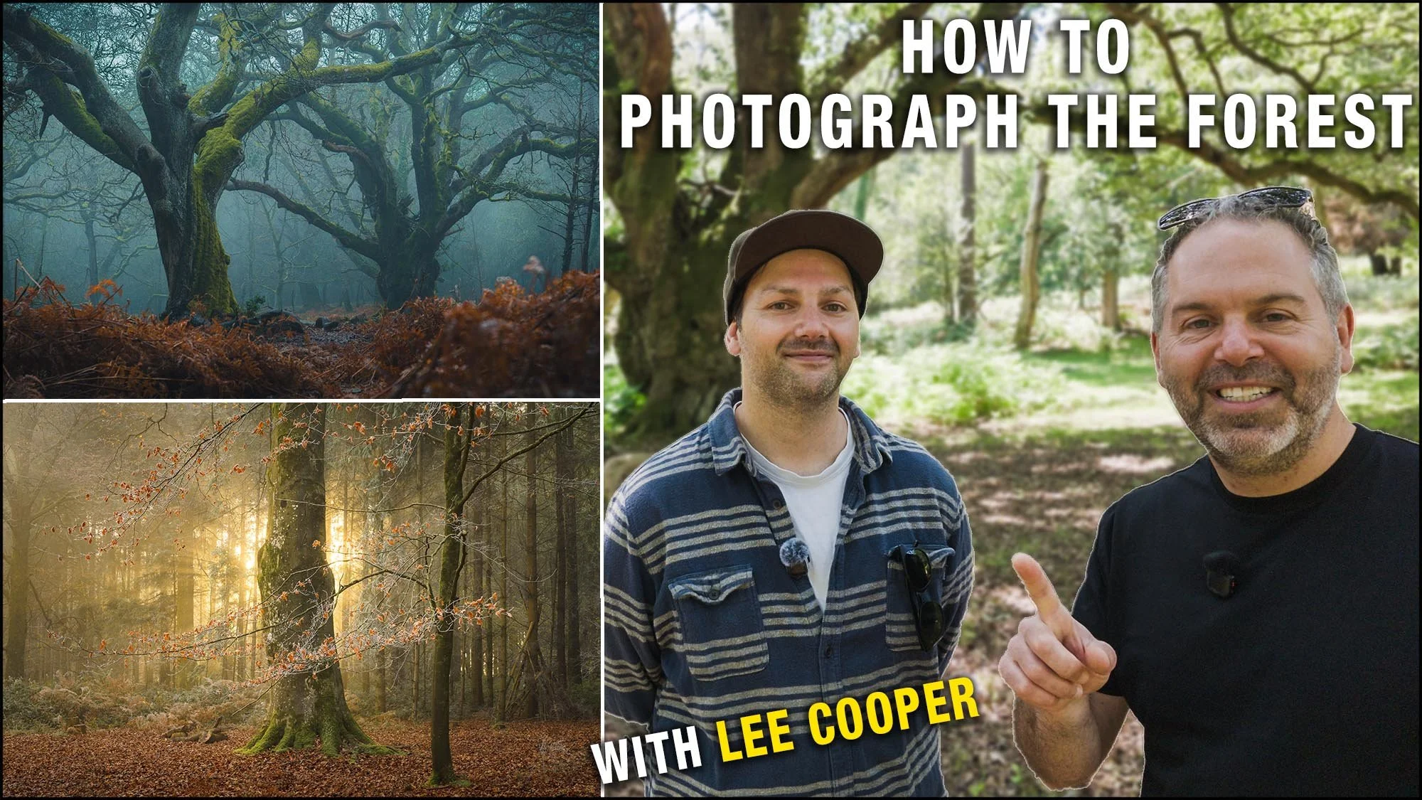  Forest Photography with Lee Cooper – Tips, Techniques and the Mindset Behind the Images