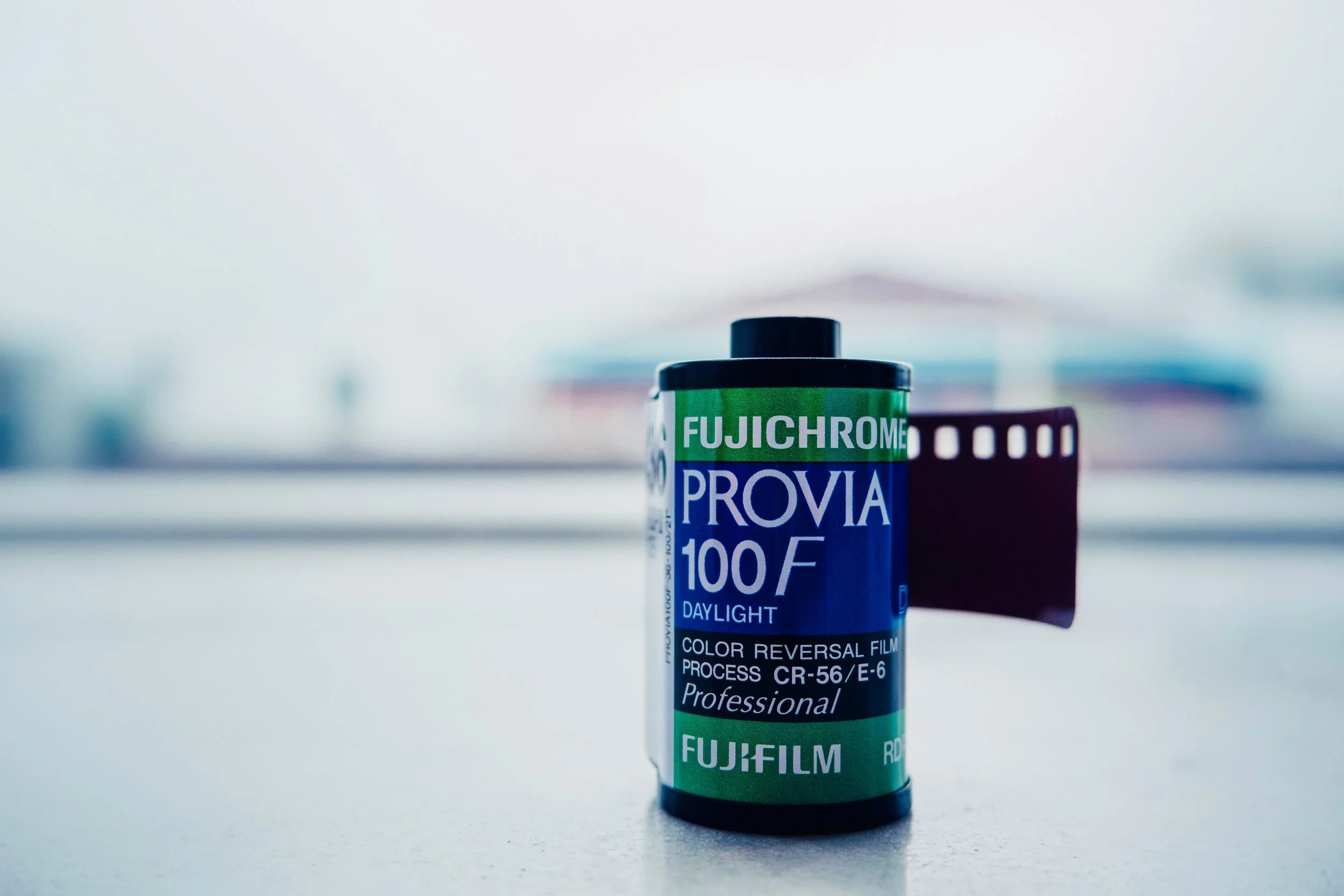 macro-jr-q1HYDoUbDLk-unsplash(1).jpg