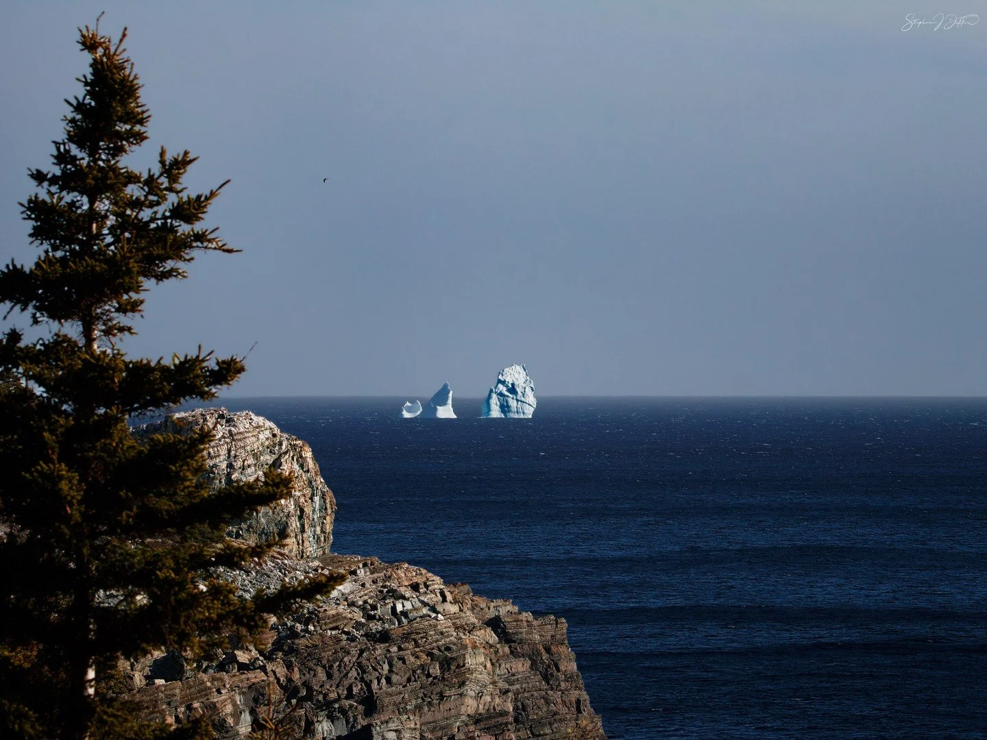 Where land, sea and ice meet! 🧊🌊⁠
⁠
Floating off the coast of the Avalon Peninsula in Newfoundland, Canada, these magnificent icebergs create a stunning contrast against the deep blue Atlantic Ocean.⁠
⁠
Beautifully framed by rugged cliffs and trees