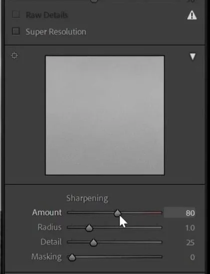 Lightroom detail panel