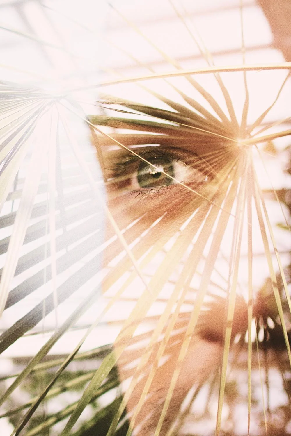 double exposure photo of an eye and a leaf