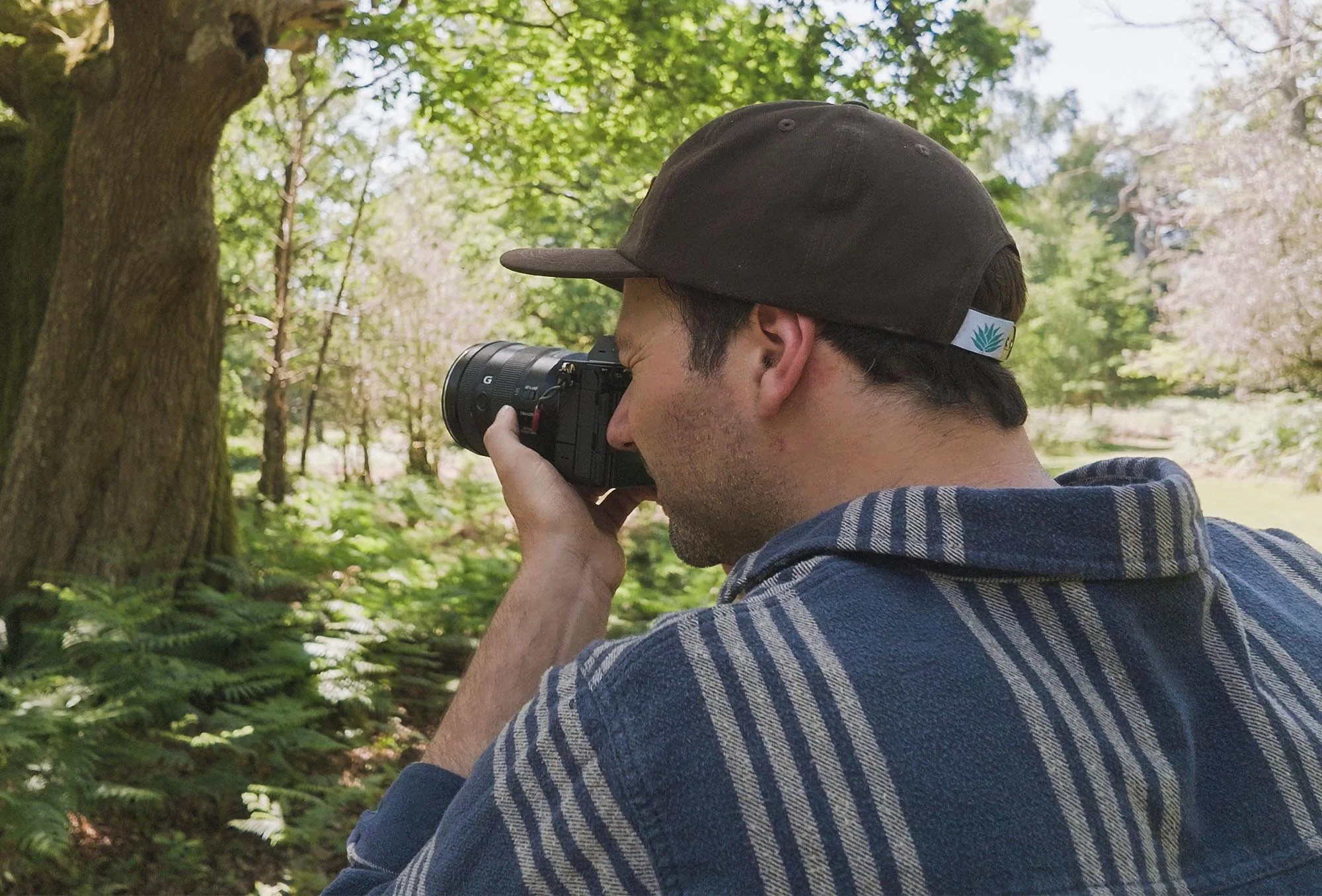 Lee Cooper taking pictures in a forest