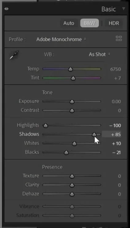 Basic panel in lightroom