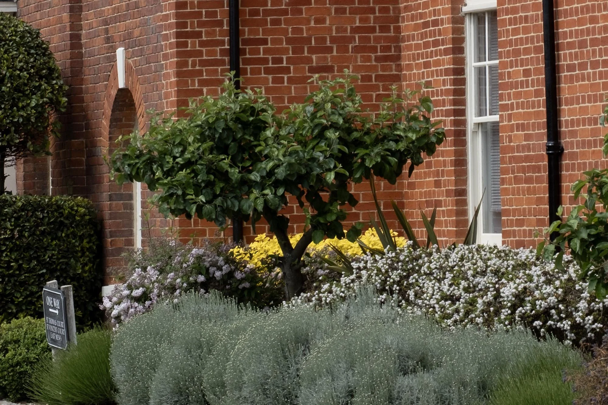 An example photo of low ISO