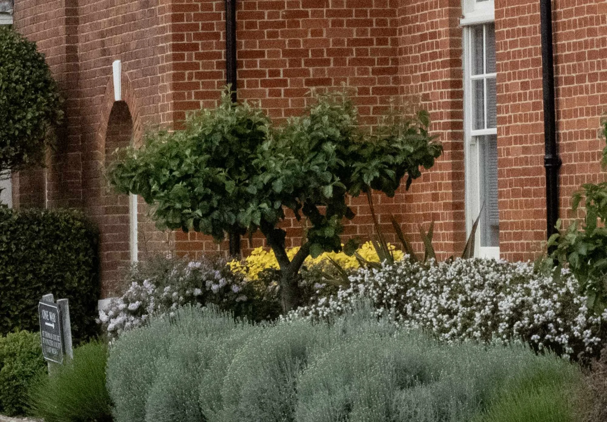 An example image of high ISO