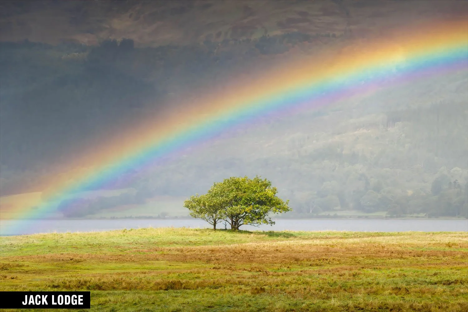 Vibrant rainbow over a lone tree, lake, and field under cloudy sky.
