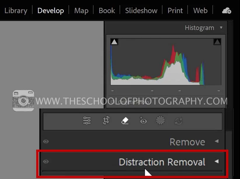 Lightroom with the Develop module highlighted and Distraction Removal menu open.