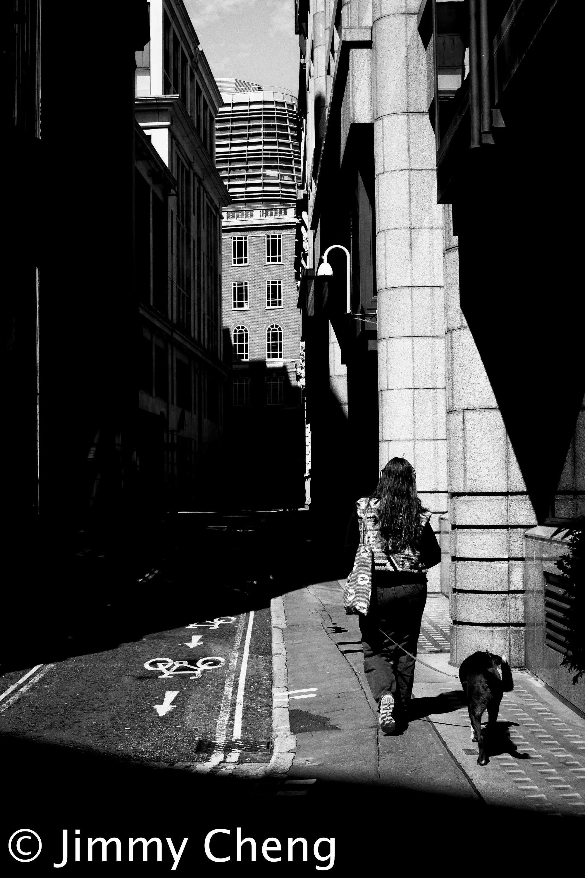 Black and white London street photography using harsh sunlight, deep shadows and strong architectural lines, with a pedestrian walking a dog through a narrow city street.