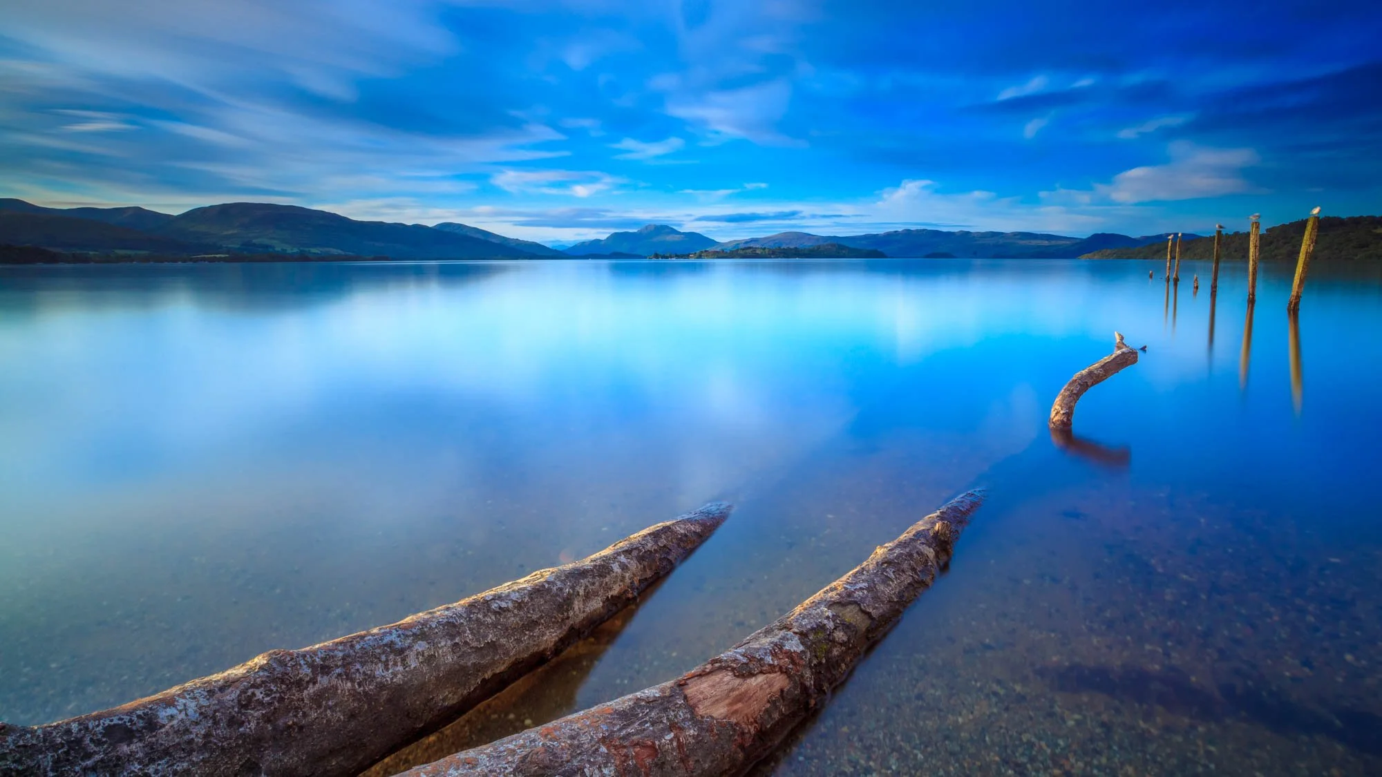 Lake landscape with fallen tree trunks creating leading lines toward distant mountains in a photography composition example.
