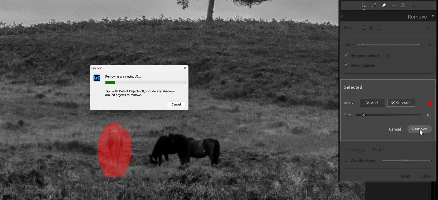 Lightroom using remove tool with AI detection