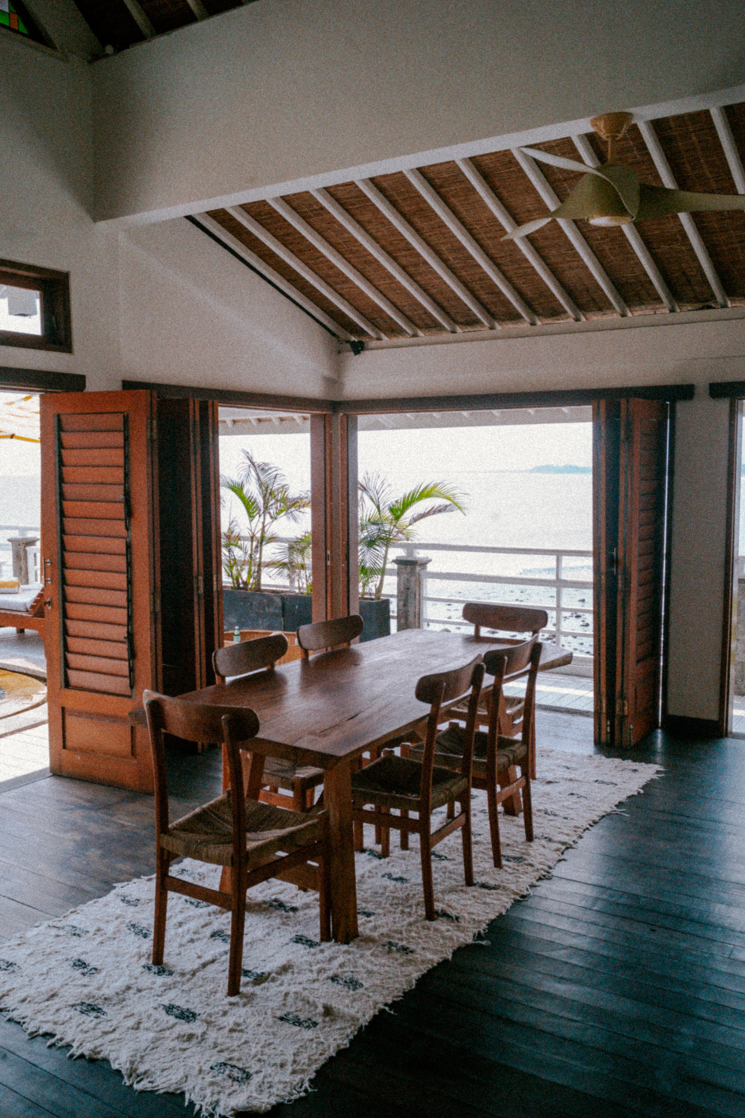 LM105479.jpg