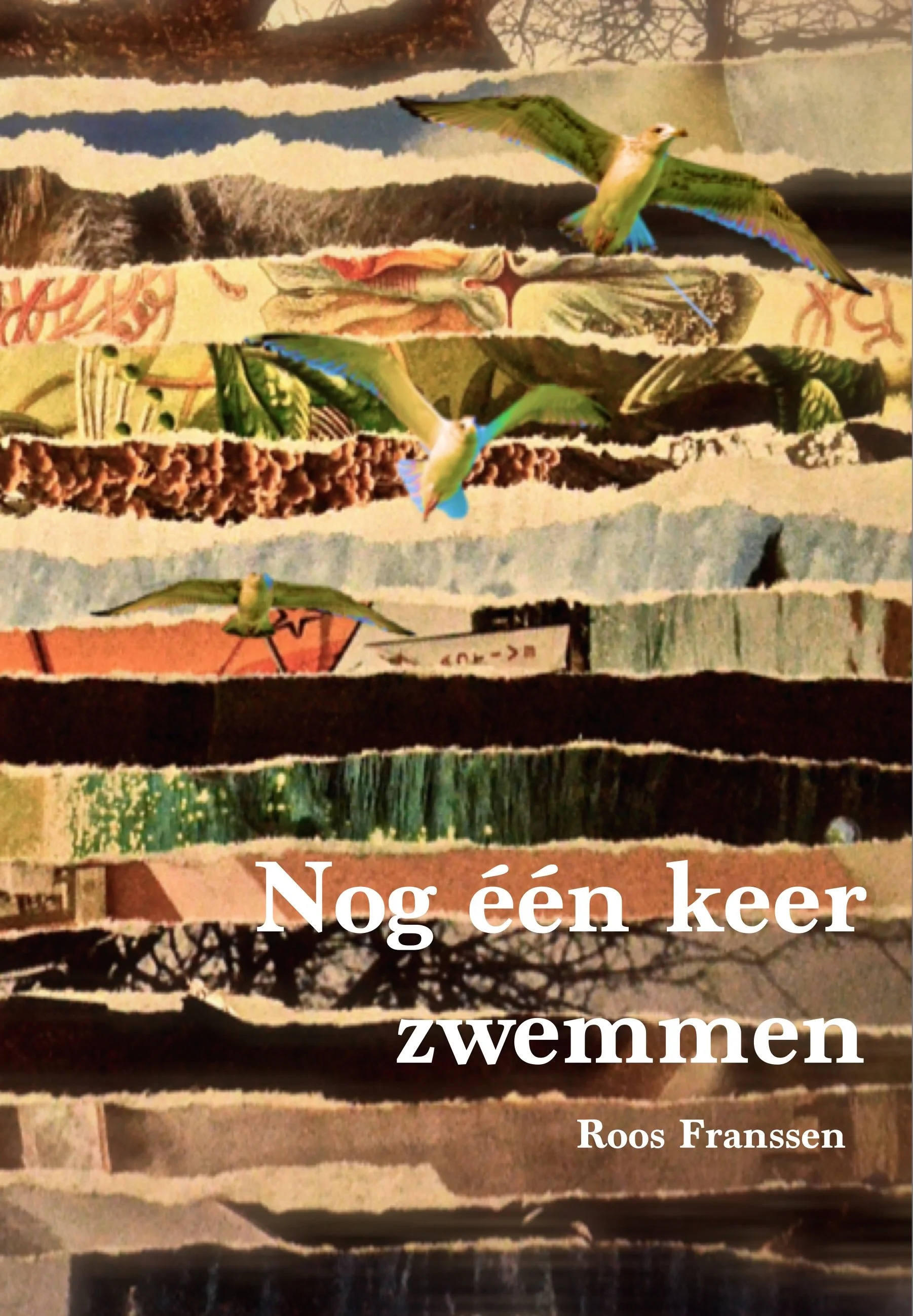 Boekomslag met gekleurde collages en vogels met de tekst "Nog één keer zwemmen" van Roos Franssen.