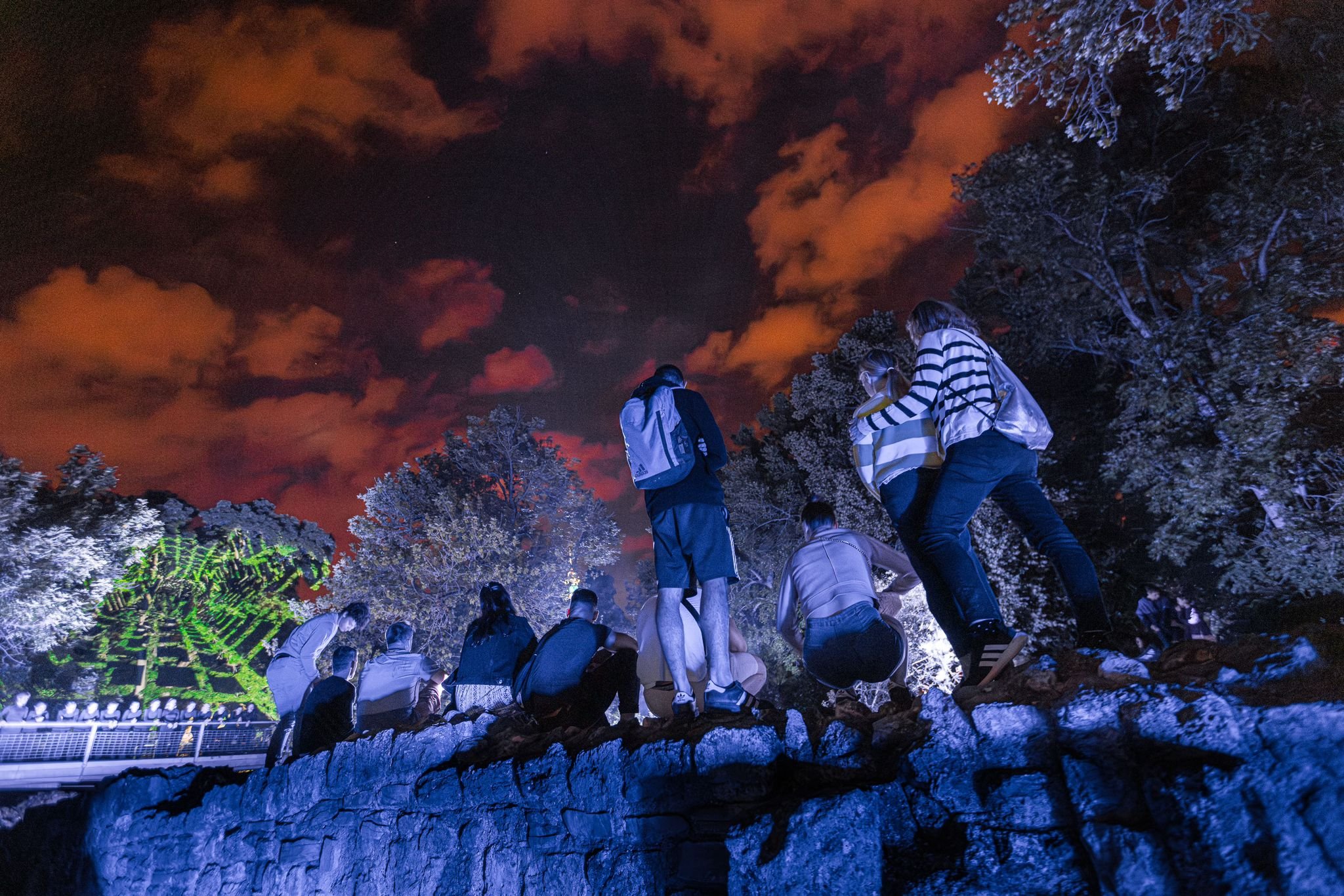 Gruppo di persone osservando la luce e la proiezione su alberi a notte fonda, con cielo coperto di nuvole rosso-orecchiate.