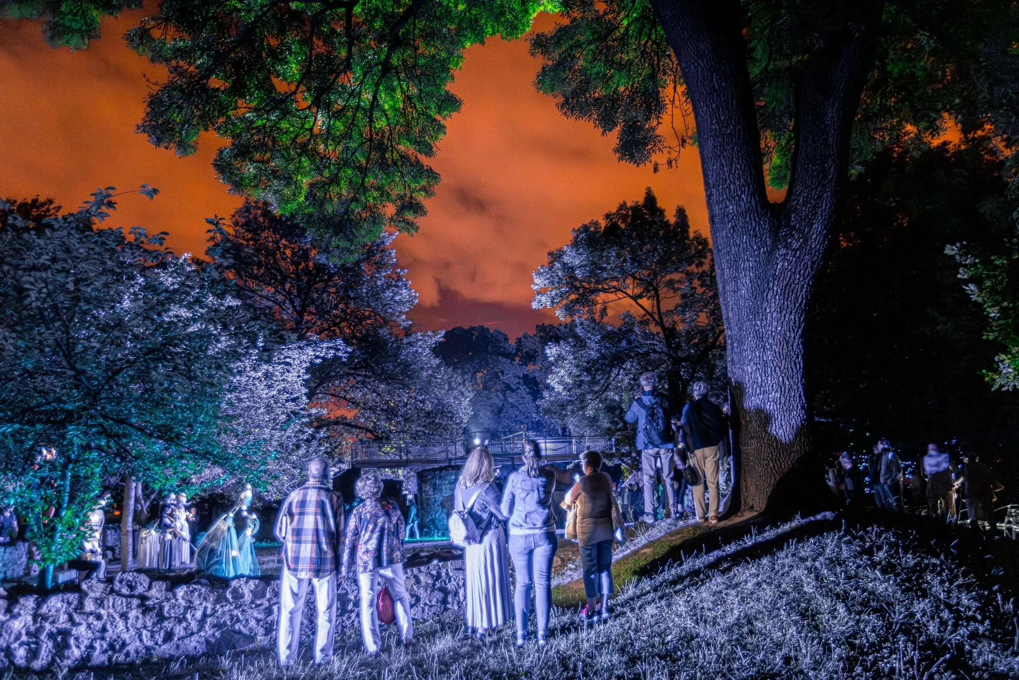 Persone che osservano luci colorate tra alberi di notte sotto un cielo arancione