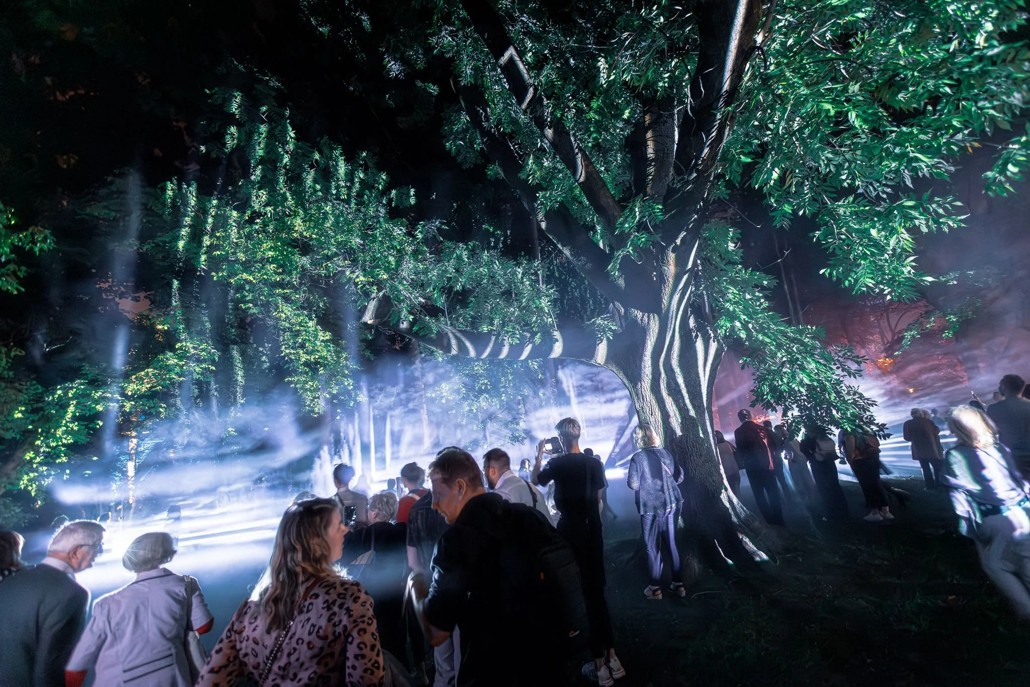 Persone che assistono a uno spettacolo sotto un grande albero, con luci e fumo, in un ambiente notturno.