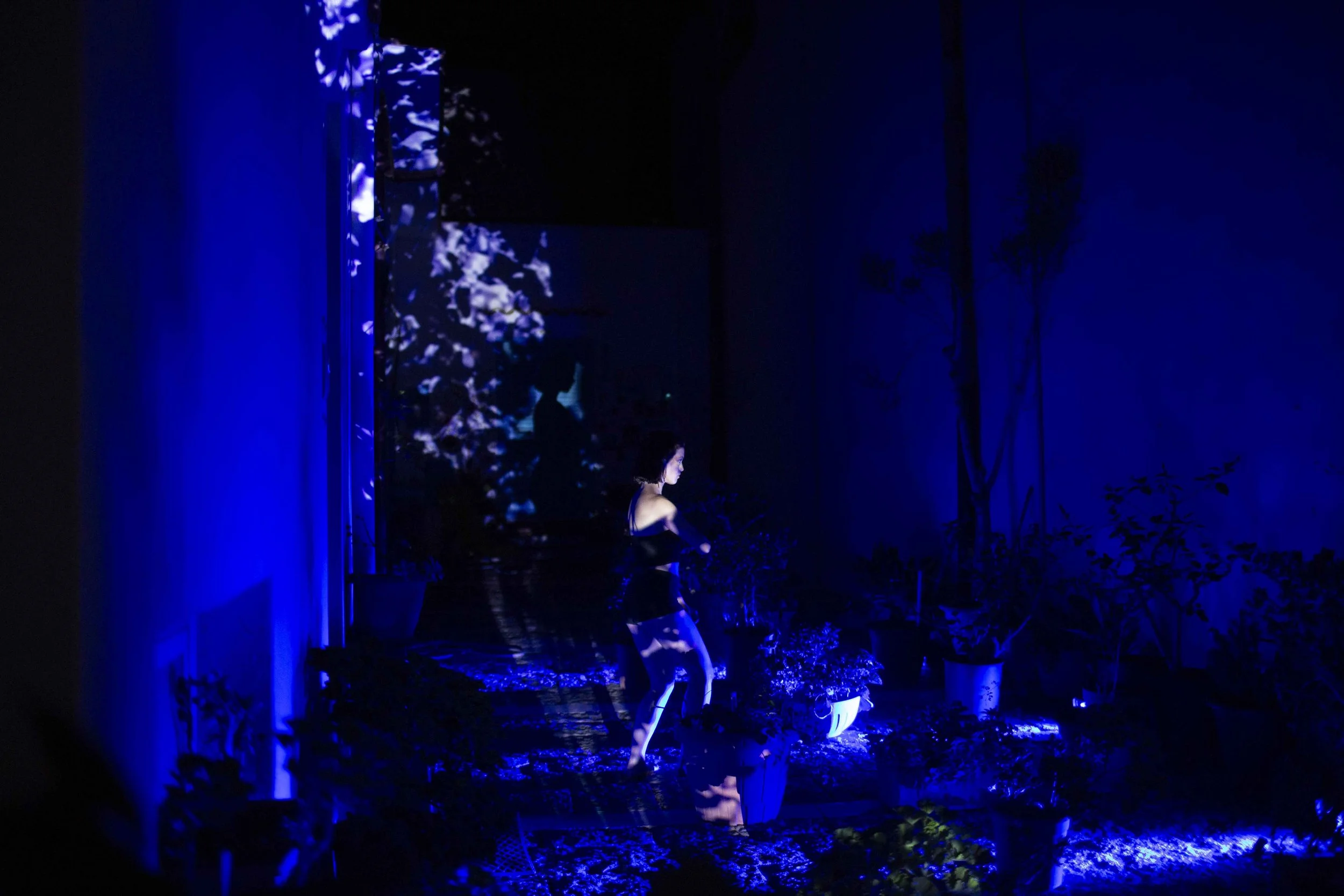 ustica_CHM8419.jpg