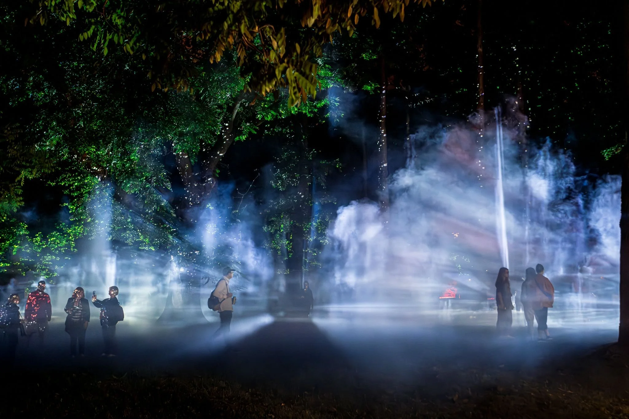 Persone in un bosco di notte con luci e nebbia colorate, alcune persone sono in giro e altre scattano foto.