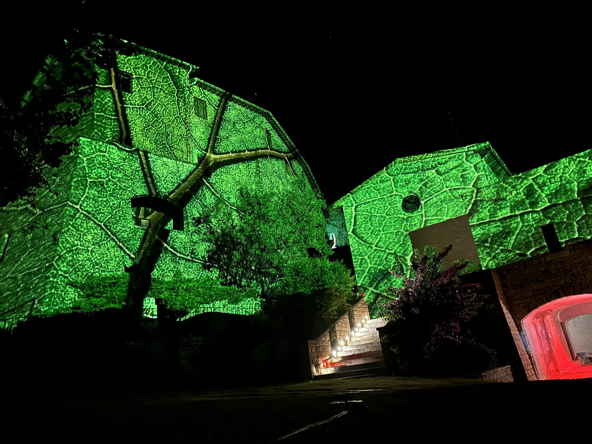 Edificio illuminato di verde con disegni che sembrano foglie e venature, di notte