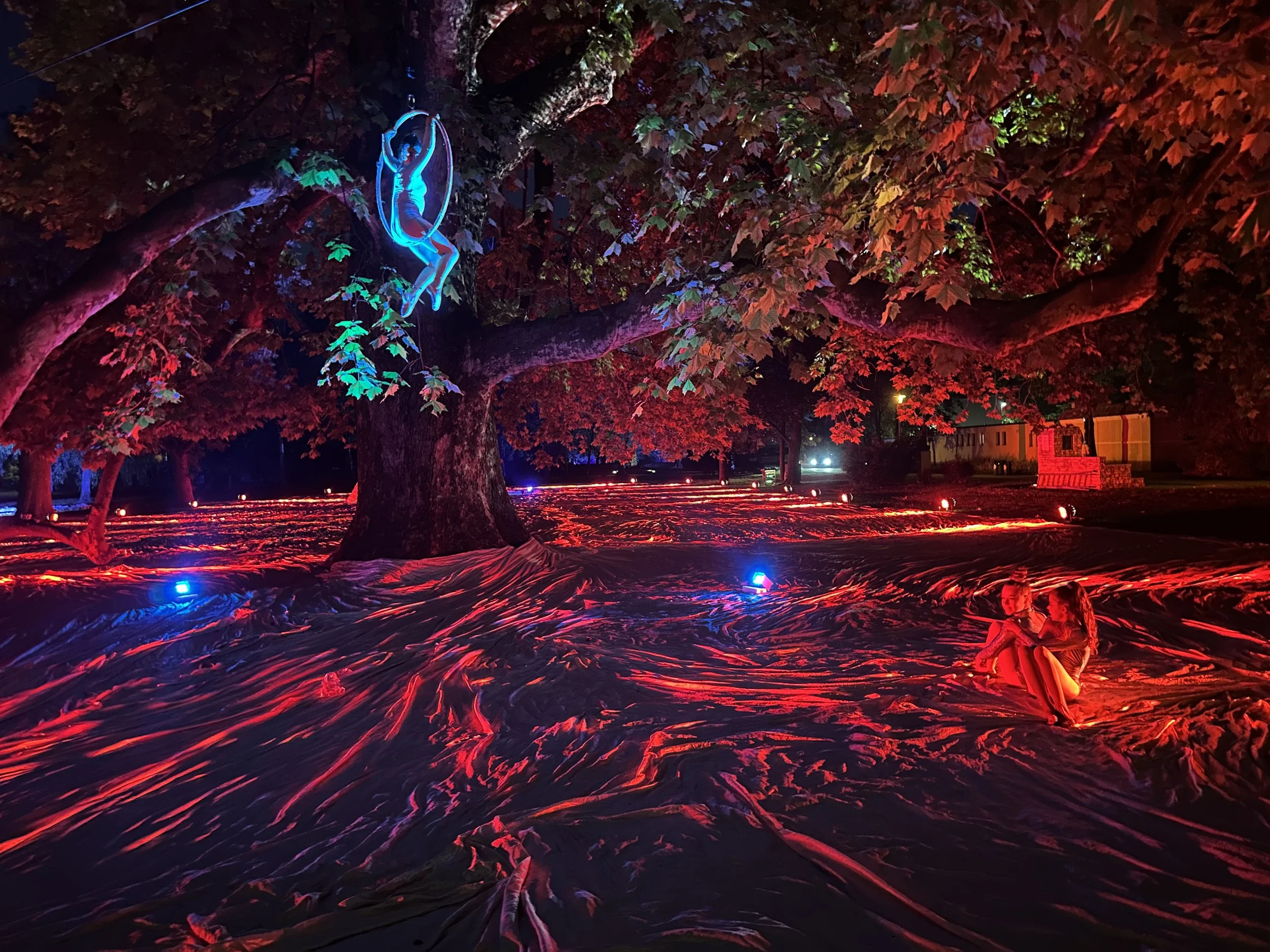 Due persone sedute sull'erba sotto un grande albero illuminato da luci colorate durante la notte, con un'installazione luminosa di una figura femminile che si dondola tra i rami.