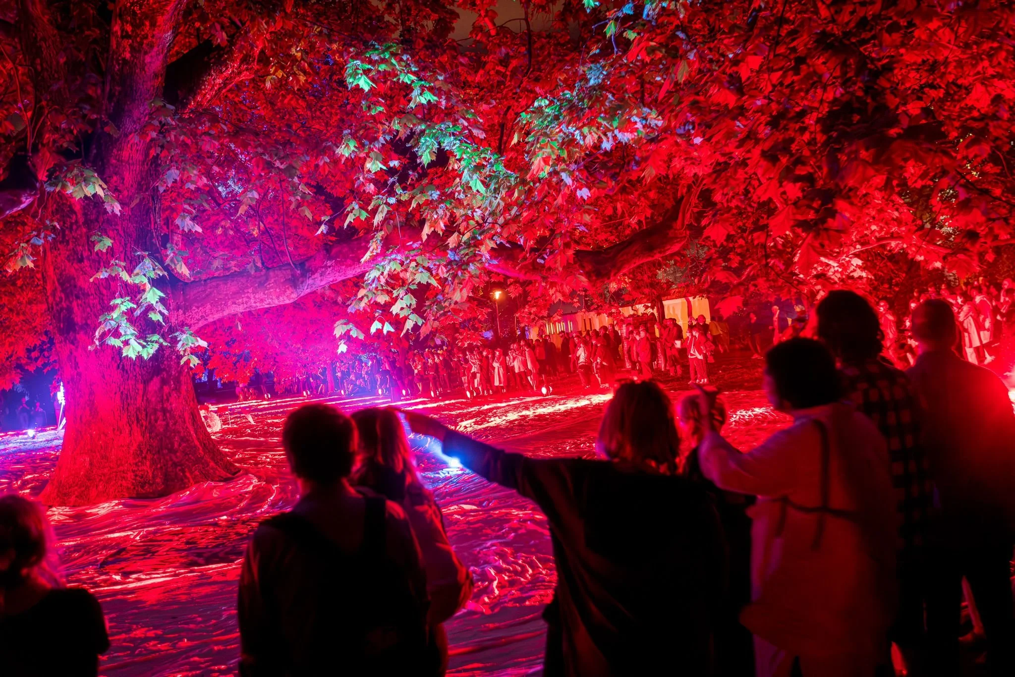 Gruppo di persone che osservano un albero illuminato con luci rosse e viola durante una serata a cielo aperto.