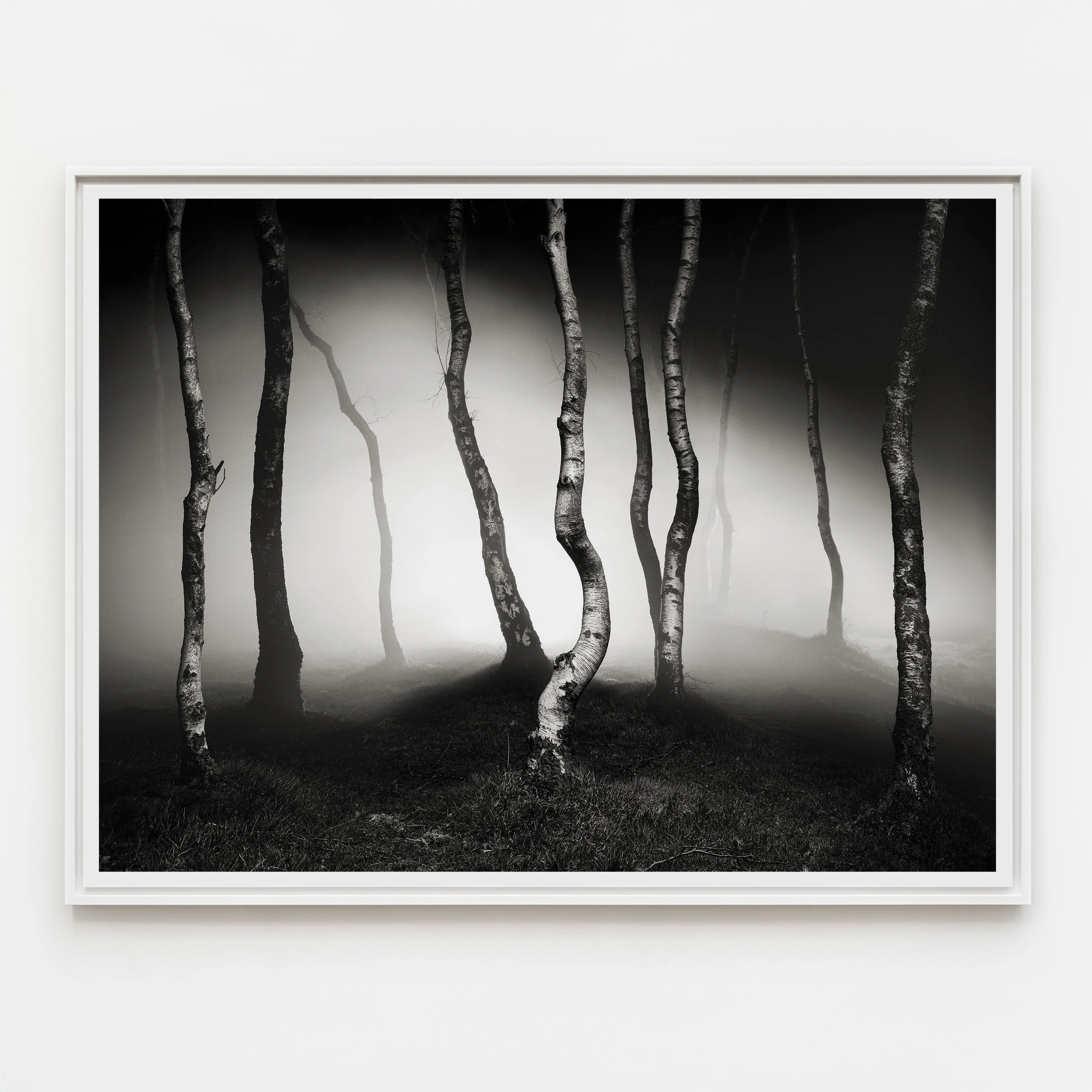 wild night frame.jpg