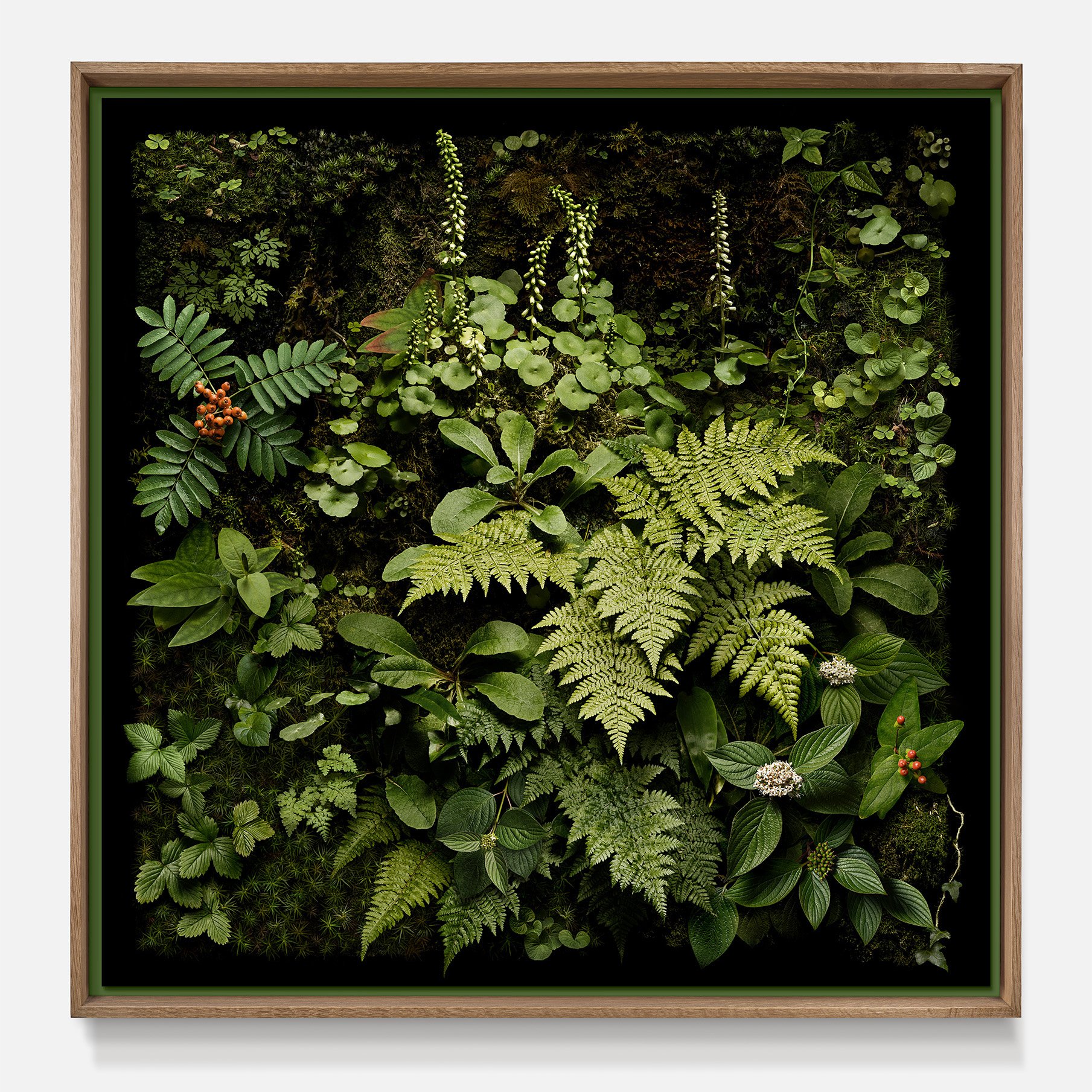 rowan square frame.jpg