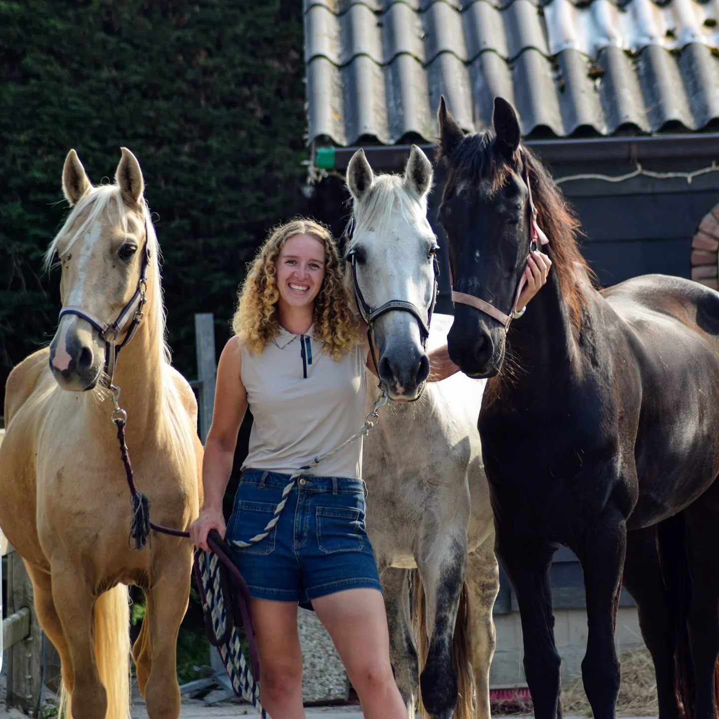 We&rsquo;re back 🥳😎

Ik ben weer terug van vakantie en de paardjes worden weer opgepakt. Benjamin en ik zijn weer heerlijk bezig op stal! Niet alleen op stal, we zijn bezig met iets heel leuks en daar zijn we zo enthousiast over!

Ik ben al dagen l