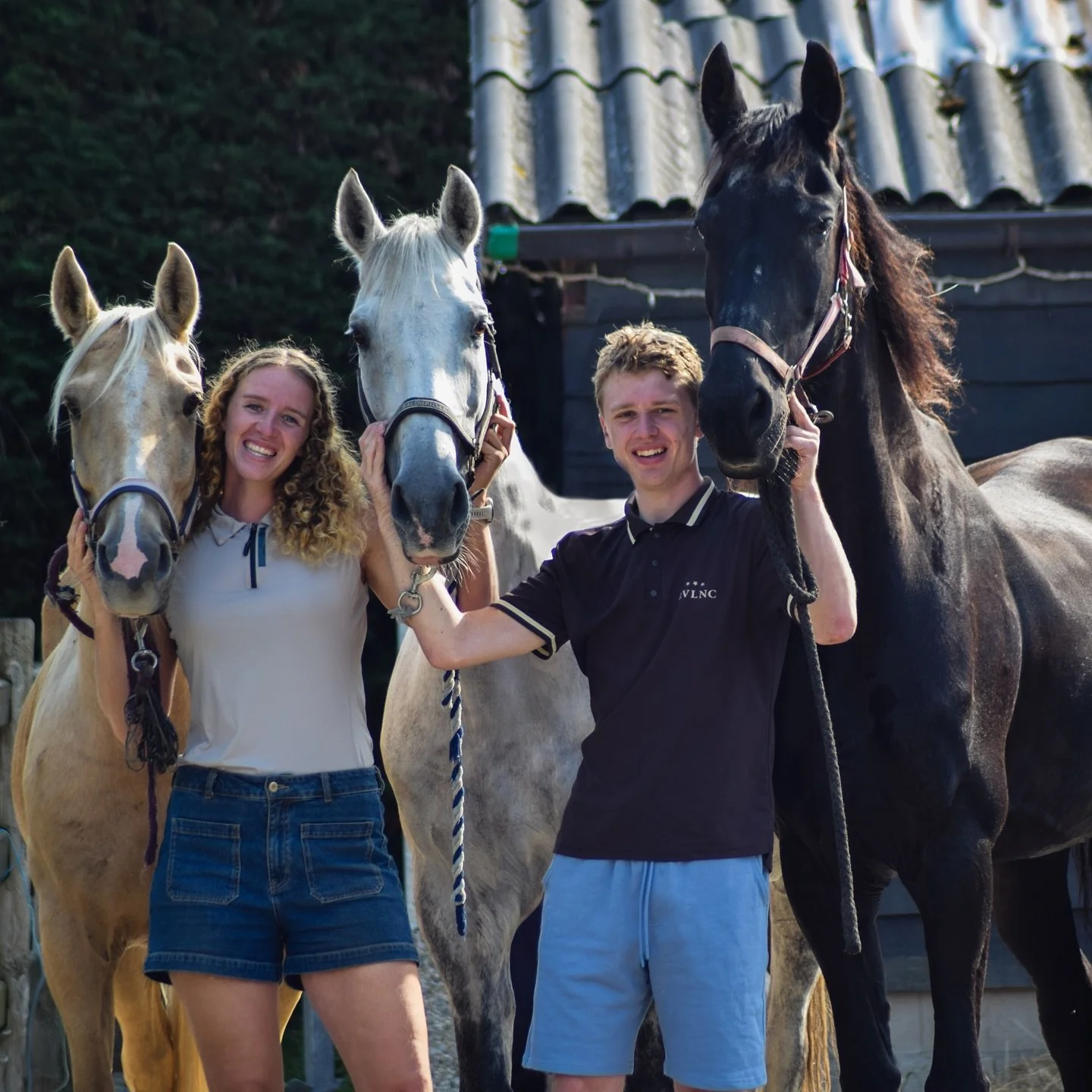 Onze trotsjes 💕
(En de andere 3 natuurlijk ook)

Tijd voor een nieuwe groepsfoto, met alle 6 als dat lukt, in dikkere kleding want die korte broeken kunnen echt niet meer 🤣

&bull;
&bull; 
#equestrianphotography #horsesplanet #horses #pony #disney 