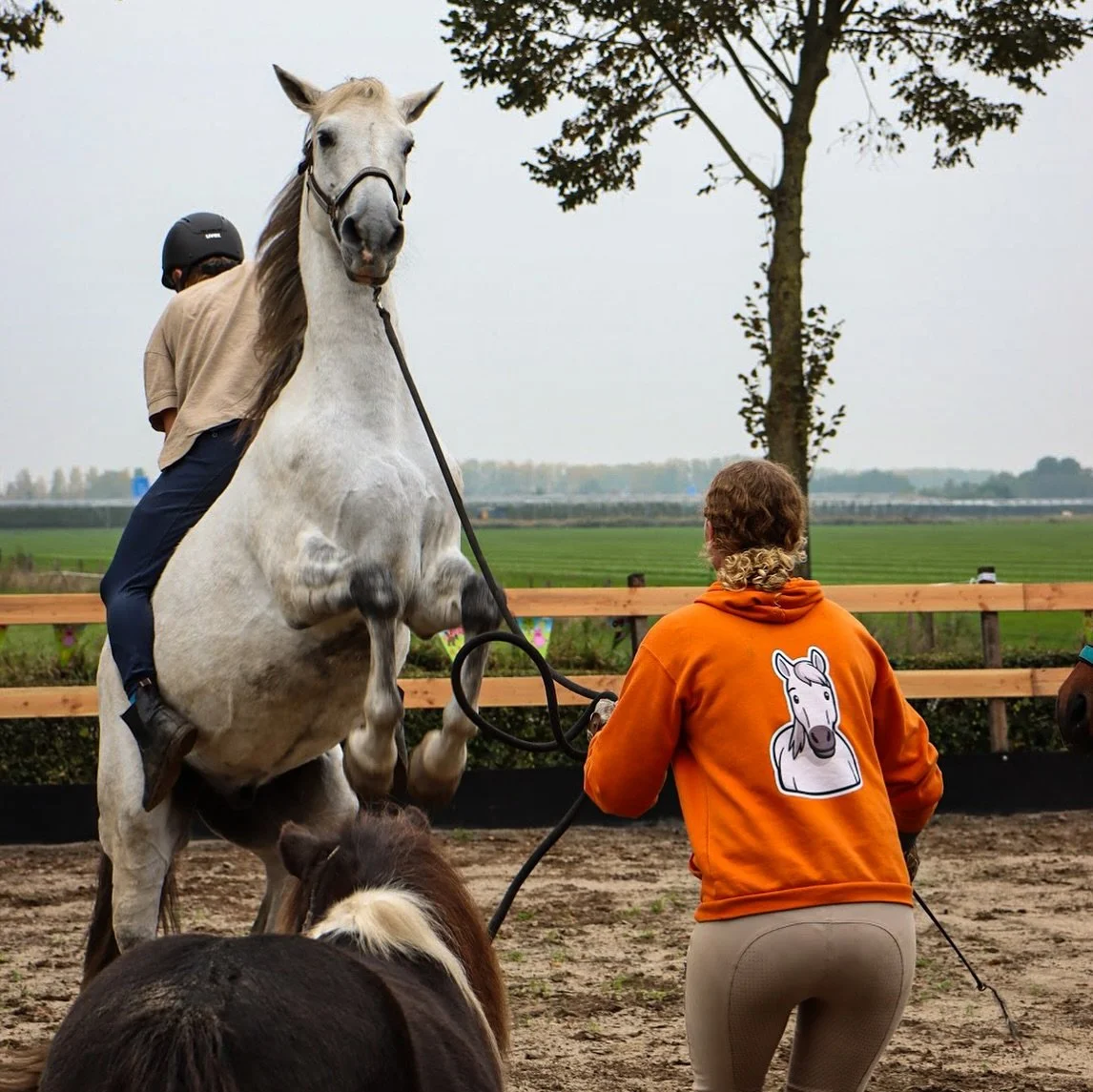 Wauw, wat zijn jullie lief. We kunnen niet iedereen persoonlijk bedanken voor de lieve berichtjes en comments dus dan maar even zo: dank jullie wel. Het is fijn om soms even door heen te scrollen tussen het regelen van de uitvaart door 🤍

We kregen 
