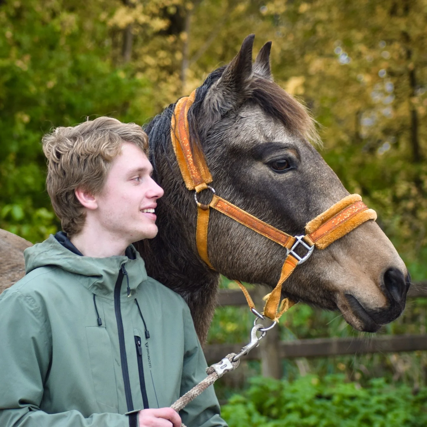 Pippi bezorgde ons vandaag een hartaanval 🥲

Het was zulk mooi weer, dus ik deed de dekentjes af. Daarbij kwam de clip van een van de koorden in Pippi haar staart. Ze schrok en rende weg. Na 2 rondjes over de track sprong ze dwars door de omheining 