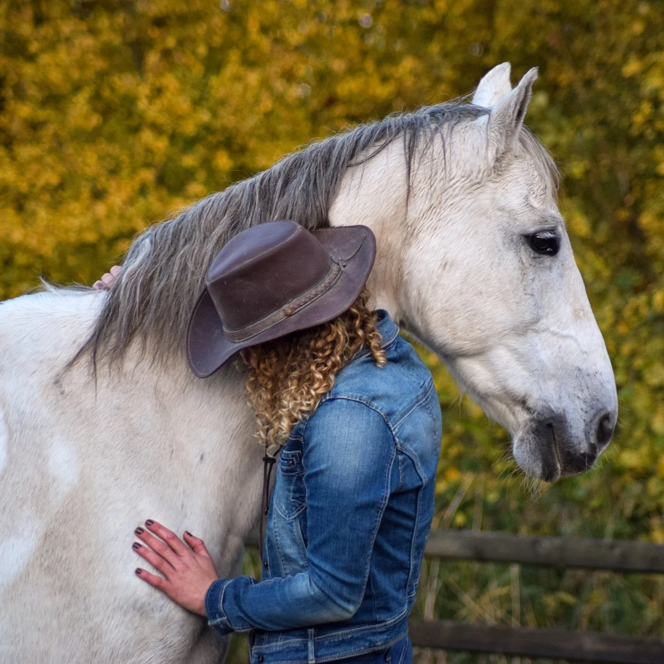 Weekend 🤍

Morgen gaan we klussen op het land &amp; ik hoop een ritje met Timon te gaan doen. Lang geleden dat ik buiten ben geweest met hem! ☀️

Wat zijn jullie plannen?
